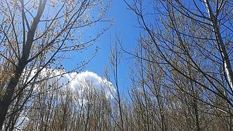 10 години след засаждането си, крайречна гора в Пловдивско ни пази от наводнения и ерозия и е подслон за биоразнообразието