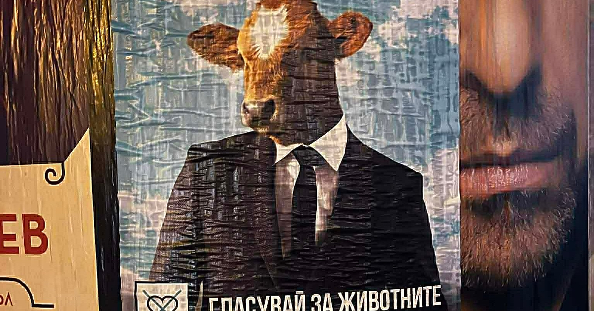 Докато след близо седмица ние се готвим да гласуваме за