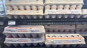 Яйцата - с 20% по-скъпи за година, дизелът пълзи нагоре, агнешкото 15-20 евро