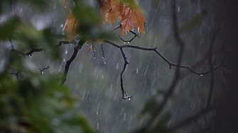 Жълт код за значителни валежи от дъжд в 15 области