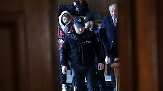 Жената, намушкала германци: Не ги харесвам, направих го в интерес на обществото