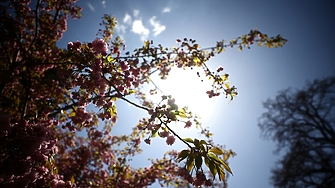 Пролетно време днес, студен фронт носи захлаждане утре