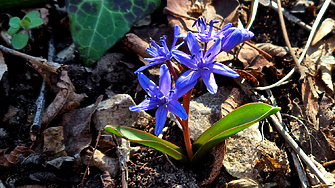 Най-после: до 25 градуса през почивните дни