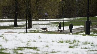 Къде ще вали "щърков" сняг в следващите дни