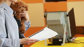 Кой е избирателят на "Прогресивна България"