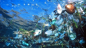 Бързата загуба на кислород от океана и другите водни екосистеми